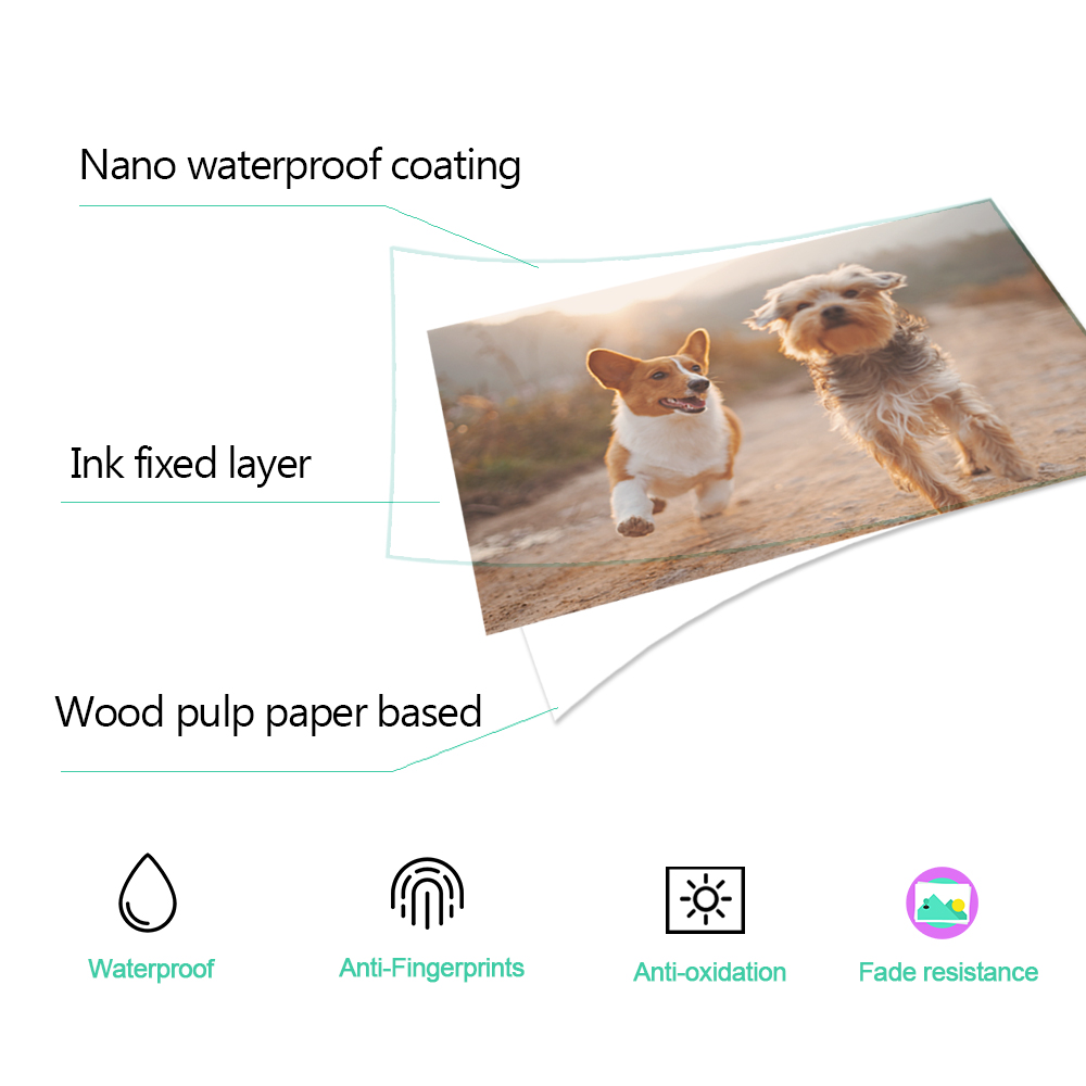 1/2/3/4/5 قطع خرطوشة حبر 6 بوص - مراجعة Commercial Photo Printer وسعره